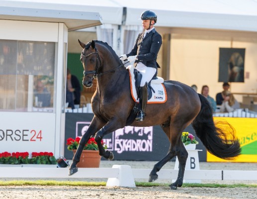 Roman Empire and Bart Veeze. Photo: Sportfoto Lafrentz