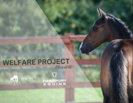 Welfare project phase II