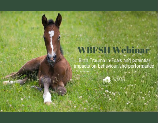 WBFSH Webinar