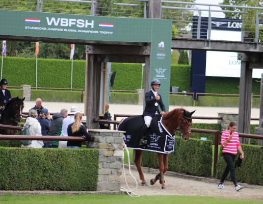 WBFSH Studbooks Jumping GCT - Friday