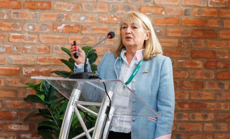 75084b81-e10a-45bc-ba71-b06720cd3952