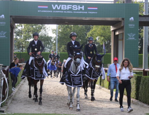 Westphalian Studbook - 8 YO Final Champions