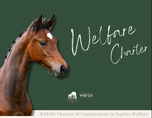 Welfare Charter