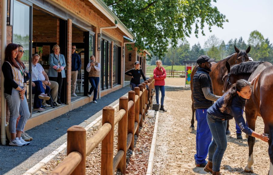 de6d6dd9-8ba0-47ae-a4fa-aa3008756670