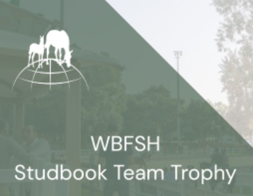WBFSH Studbook Team Trophy header